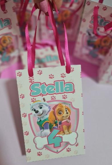 Sacolinha Surpresa Skye e Everest Patrulha Canina