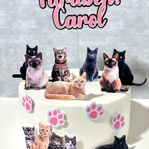 Topo de Bolo Gatinhos