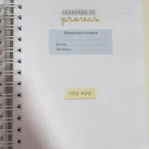 Agenda Escolar Capivara Menino 2025 Datada
