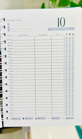 Agenda Manicure Agendamentos 2025