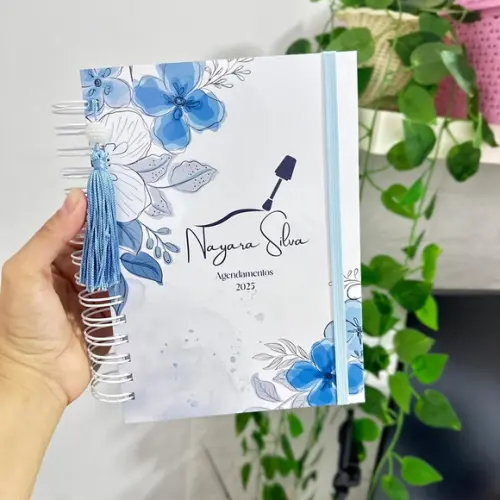 Agenda Manicure Agendamentos 2025