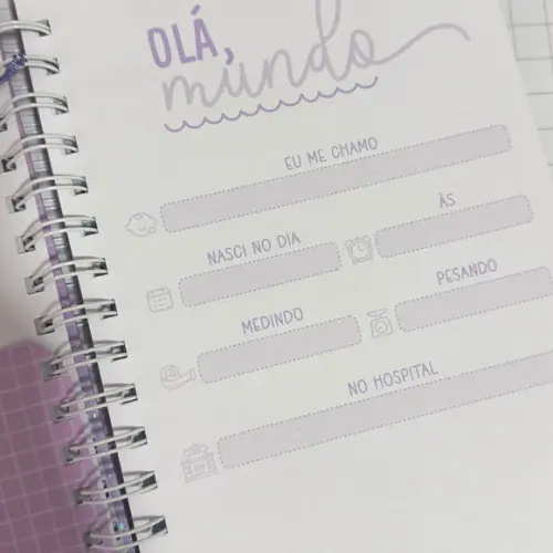 Caderneta de Saúde Vacinação Leaozinho