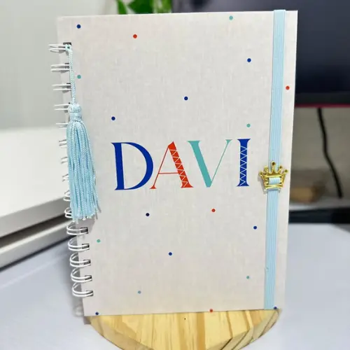 Caderneta de Saúde Vacinação Minimalista