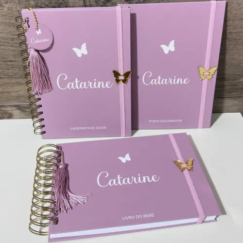 Kit Maternidade Caderneta + Livro Bebê e Porta Documentos