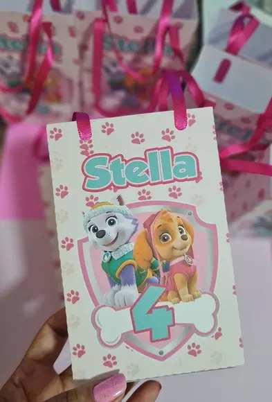 Sacolinha Surpresa Skye e Everest Patrulha Canina