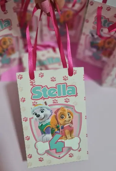 Sacolinha Surpresa Skye e Everest Patrulha Canina