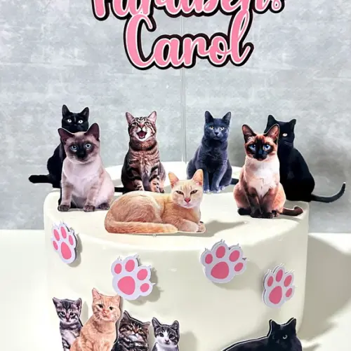 Topo de Bolo Gatinhos