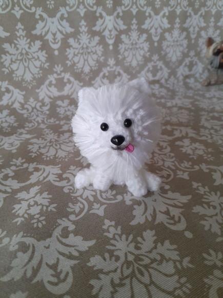 Pet Miniatura