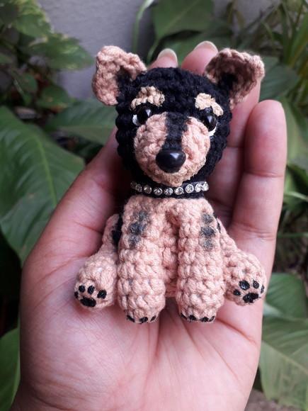 Pet Miniatura