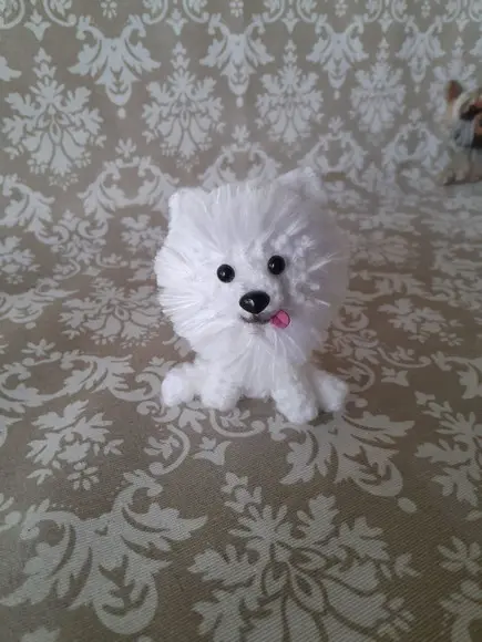 Pet Miniatura