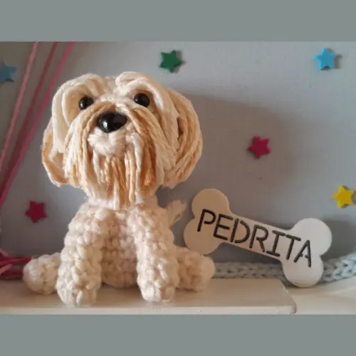 Porta Maternidade Júlia e Sua Pet Pedrita