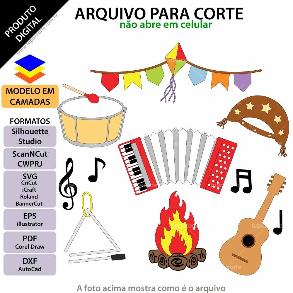 Festa Junina instrumentos