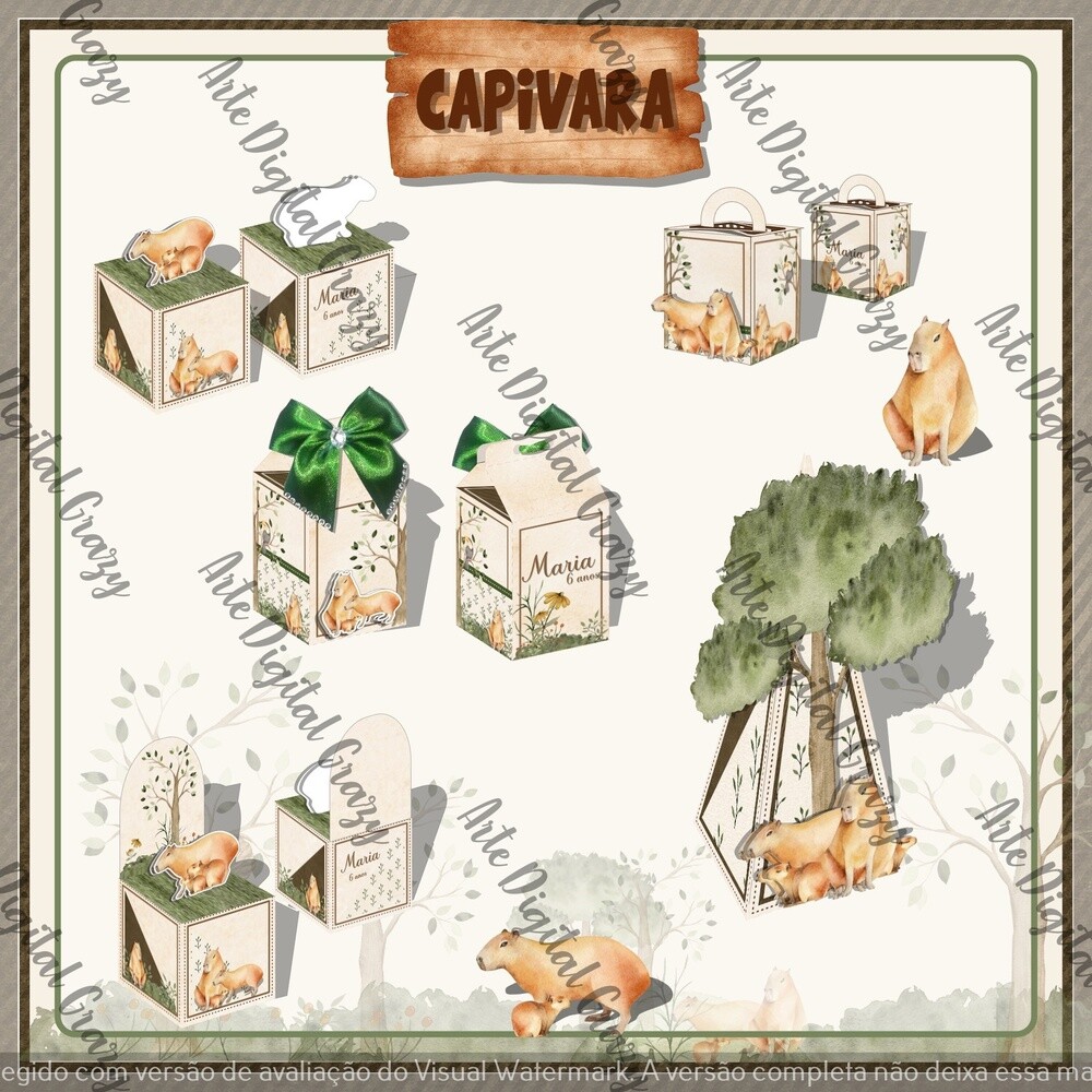 Capivara 001