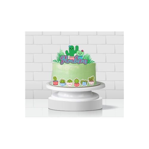 01 - Cactos Suculenta a