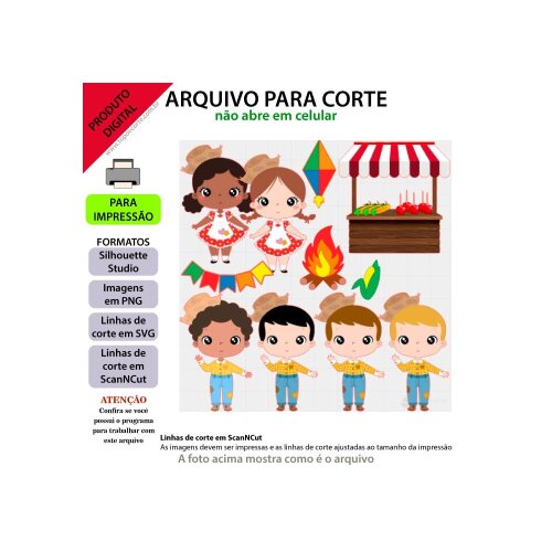 Festa Junina Casal Cute