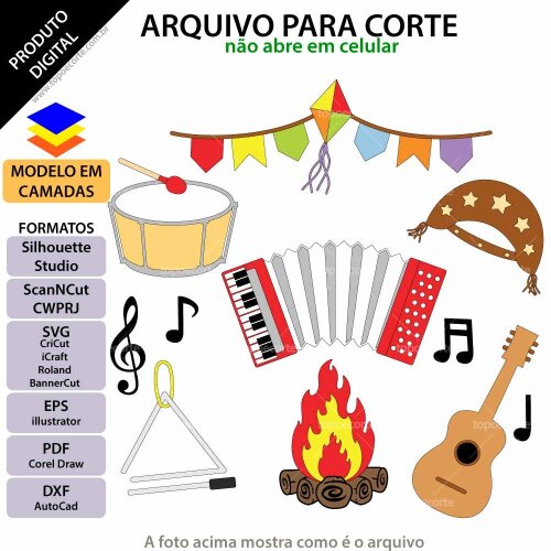 Festa Junina instrumentos