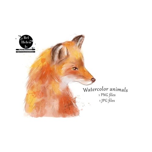 Kit Digital Raposa PNG  Fox Watercolor Clipart  Animais da Floresta  Arquivos Digitais