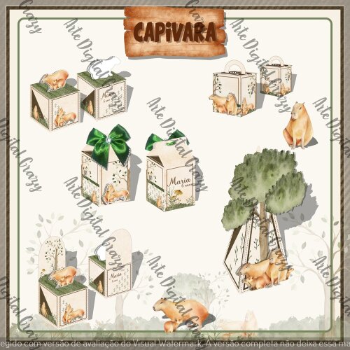 Capivara 001