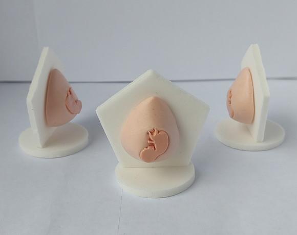 Representante Barriga com Bebê para Constelação