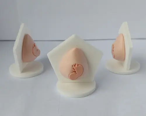 Representante Barriga com Bebê para Constelação