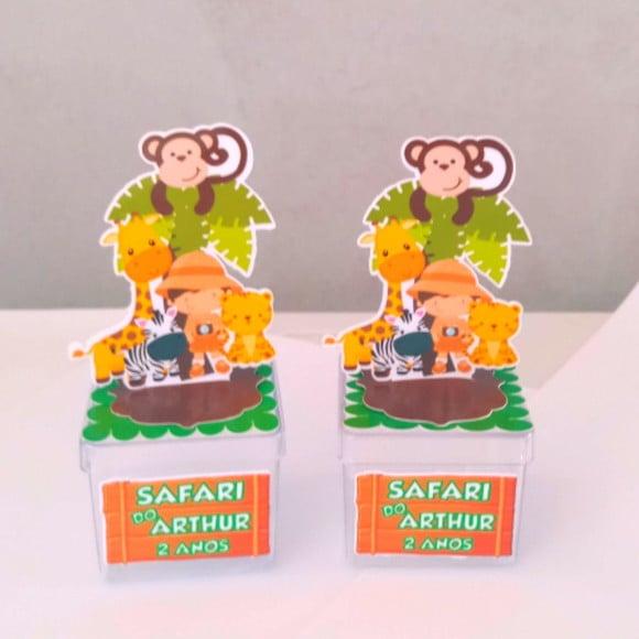 Caixinha Acrílica Safari