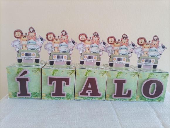 Kit Safari 30 Caixas