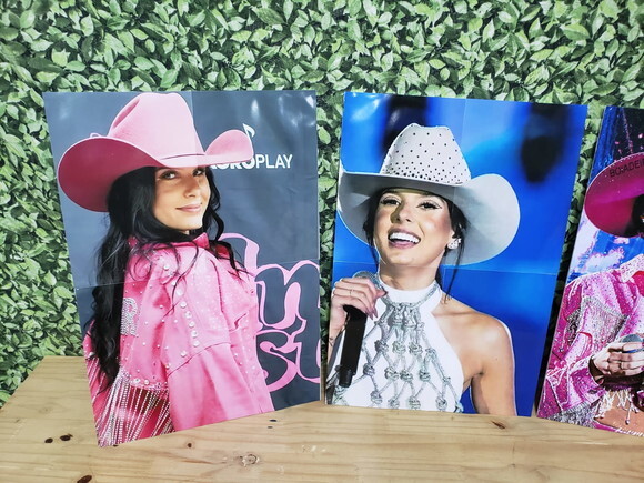 Ana Castela Kit Parede 3 Peças Pronta Entrega