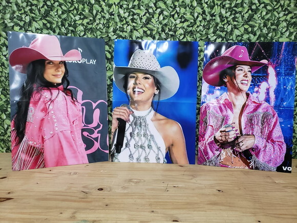 Ana Castela Kit Parede 3 Peças Pronta Entrega