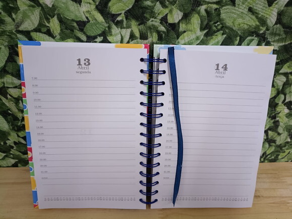 Autismo Agenda Atividades 2026 Personalizada Pronta Entrega