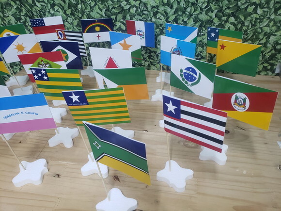 Bandeiras Estados do Brasil de Mesa Pronta Entrega