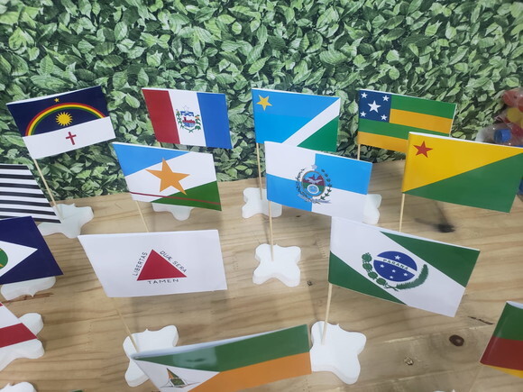 Bandeiras Estados do Brasil de Mesa Pronta Entrega