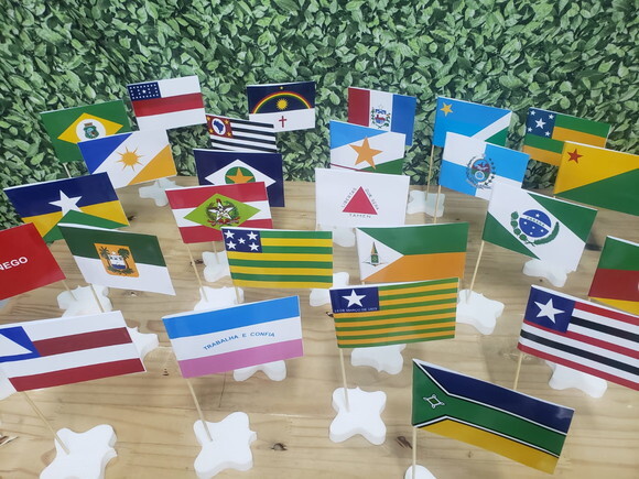 Bandeiras Estados do Brasil de Mesa Pronta Entrega