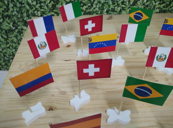 Bandeirinhas de Países Copa 2026 Pronta Entrega 48 Unidades