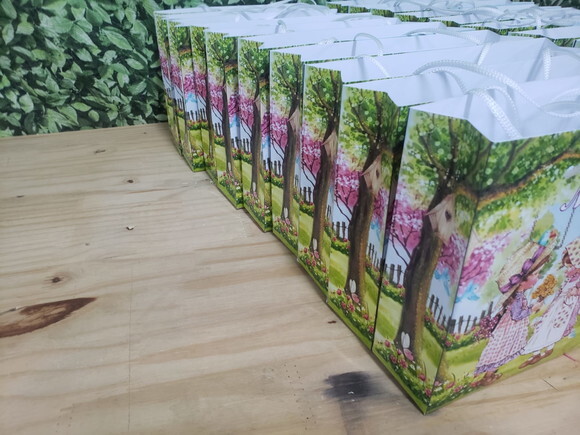 Boneca Camponesa Sacola Personalizada Pronta Entrega