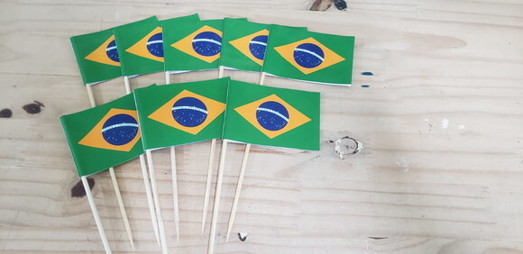 Brasil Bandeirinha de Mão 12 Unidades Pronta Entrega