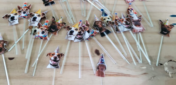 Cachorro Pet 52 un Topper para Docinhos Pronta Entrega