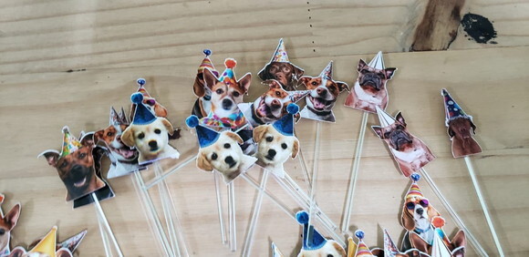 Cachorro Pet 52 un Topper para Docinhos Pronta Entrega