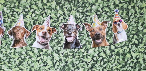 Cachorro Pet Varal Decoração Festa Pronta Entrega