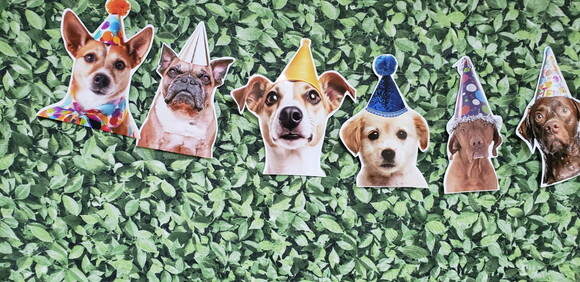 Cachorro Pet Varal Decoração Festa Pronta Entrega