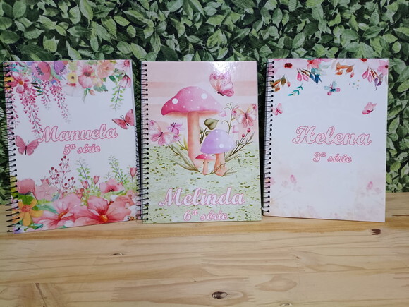 Caderno Meninas 3 Unid. Universitário 96 Fls Personalizado