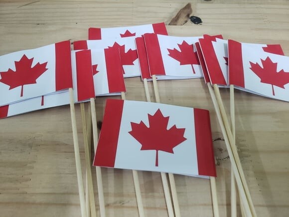 Canadá Bandeirinha de Mão 12 Unidades