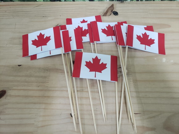 Canadá Bandeirinha de Mão 12 Unidades