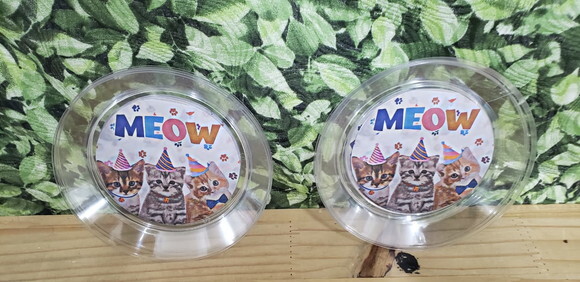 Gato Meow Parato Refeição 21 cm Personalizado Pronta Entrega