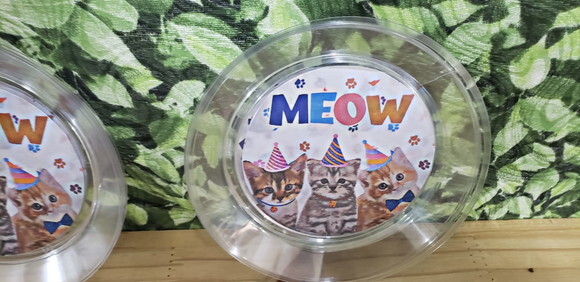 Gato Meow Parato Refeição 21 cm Personalizado Pronta Entrega