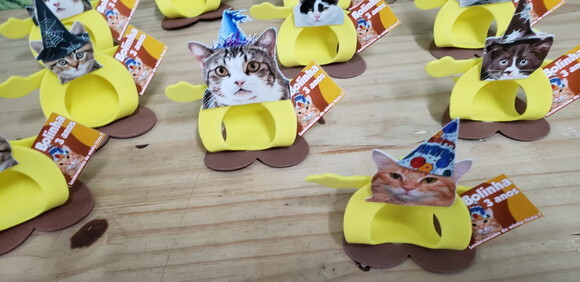 Gato Pet Lembrancinha Festa Personalizada Pronta Entrega