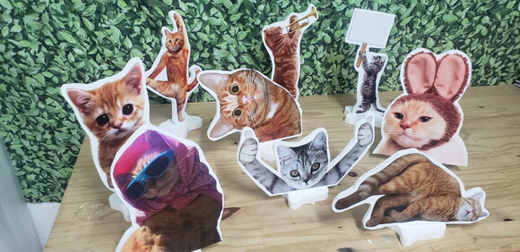 Gatos Kit Displays 9 Peças para Decoração de Mesa