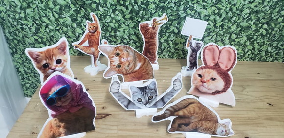 Gatos Kit Displays 9 Peças para Decoração de Mesa