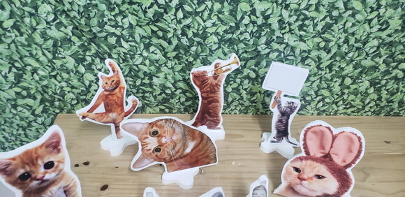 Gatos Kit Displays 9 Peças para Decoração de Mesa