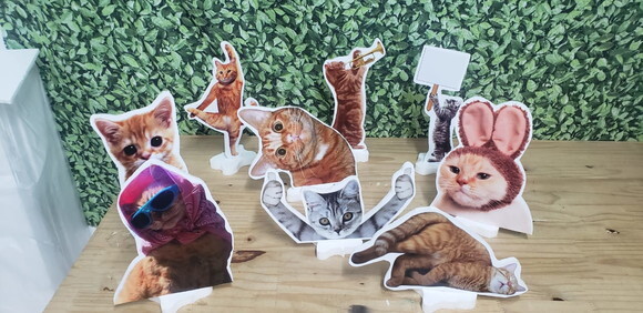 Gatos Kit Displays 9 Peças para Decoração de Mesa