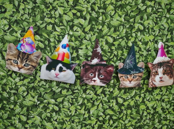 Gatos Varal com 12 Rostinhos de Gatinhos Decorados